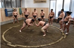 Sumo - Biểu tượng thể thao của Nhật Bản đang rơi vào thời kỳ khủng hoảng?