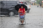 Philippines đóng cửa trường học, dừng hàng loạt chuyến bay khi bão Cỏ may áp sát
