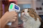 Dư luận Trung Quốc tranh cãi về việc đấu giá thú cưng để trả nợ