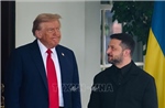 Tổng thống Zelensky mời ông Trump bay thẳng sang Ukraine nhằm tìm lối ra cho cuộc chiến