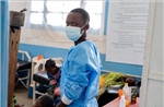 Ebola và virus Hanta phơi bày thách thức mới về y tế toàn cầu