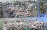 Phát hiện mối quan hệ giữa bệnh viêm nướu răng và chứng vô sinh ở phụ nữ