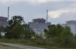 CEO Rosatom lên tiếng về tình hình nhà máy điện hạt nhân Zaporizhzhia