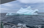 Twillingate - điểm hẹn ngắm băng trôi và cá voi ở Canada