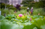 Trung Quốc tăng cường kiểm soát ô nhiễm tiếng ồn, xây dựng hàng nghìn 'cộng đồng yên tĩnh'