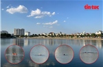 Hiểm họa rình rập tại các điểm bơi lội tự phát