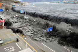 Thiệt hại do thảm họa thiên nhiên năm 2011 tăng kỷ lục 
