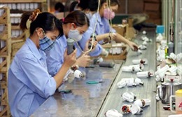 Tái cấu trúc kinh tế Việt Nam: Loại bỏ đầu cơ và tập trung nâng cao chất lượng sản phẩm 