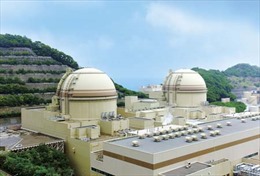 Nhật Bản sẽ không còn điện hạt nhân kể từ 6/5