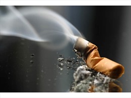 Hãy ngăn chặn sự can thiệp của ngành công nghiệp thuốc lá