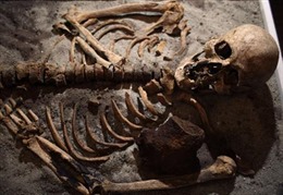 Trưng bày bộ xương “ma cà rồng” 700 tuổi 