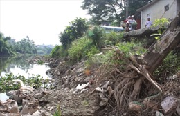 Bờ tả sông Nhuệ sạt lở nghiêm trọng
