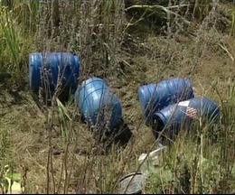 Kinh hãi 250 bào thai bị vứt trong rừng 
