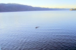 Công bố ảnh &#39;quái vật hồ Loch Ness&#39;