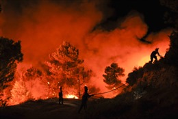 Tây Ban Nha chật vật chống cháy rừng 