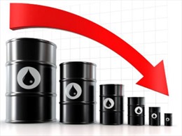 Giá dầu mỏ thế giới tiếp tục giảm mạnh 