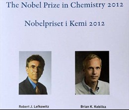 Nobel Hóa học 2012 của hai nhà khoa học Mỹ: Hứa hẹn lớn cho ngành dược phẩm