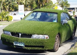Thảm cỏ di động Mitsubishi Magna 