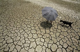 11 sự cố thời tiết khắc nghiệt nhất năm 2012