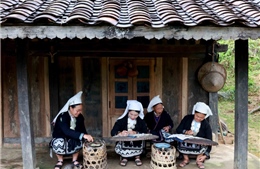 Tuyên truyền, hưởng ứng tham gia Giải Báo chí toàn quốc về bình đẳng giới lần thứ II 