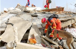 Trận động đất gây thiệt hại về sinh mạng nhiều nhất tại Trung Quốc trong gần 10 năm qua