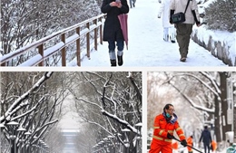 Bão tuyết mạnh gây ảnh hưởng đến cuộc sống người dân Bắc Kinh