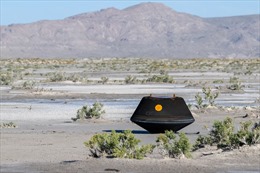 NASA đưa mẫu vật tiểu hành tinh lớn nhất về Trái Đất