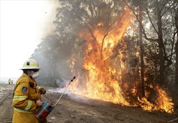 Australia trải qua gần 400 vụ cháy rừng trong 7 ngày 
