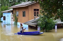 Mưa lớn gây ngập lụt tại miền Nam Thái Lan