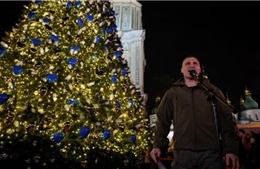 Ukraine lần đầu thắp sáng cây thông Giáng sinh theo lịch mới kể từ xung đột