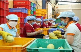 Ngoại giao kinh tế đưa nông sản Việt vươn xa
