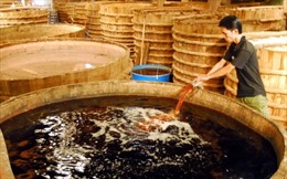 Đề nghị công nhận nước mắm là di sản văn hóa phi vật thể của Việt Nam