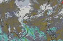 Thời tiết tuần 13 - 19/11: Miền Bắc rét đậm, Trung Bộ mưa to