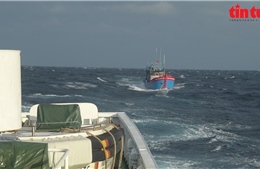 Vùng 3 Hải quân cứu hộ tàu cá ngư dân gặp nạn