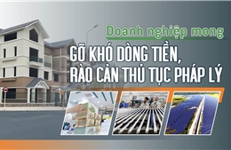 Tin tức TV: Doanh nghiệp mong gỡ khó dòng tiền, rào cản thủ tục pháp lý 