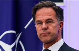 Hàng loạt nước lớn ủng hộ Thủ tướng Hà Lan làm Tổng thư ký NATO