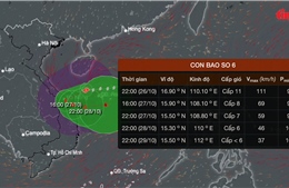 Thời tiết tuần 28/10 - 3/11: Cơn bão Trà My gây mưa lớn ở Trung Bộ