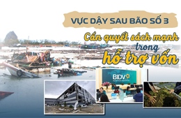 Tin tức TV: Vực dậy sau bão số 3: Cần quyết sách mạnh mẽ trong hỗ trợ vốn