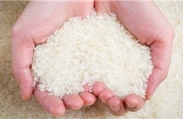 Xuất cấp hàng dự trữ quốc gia hỗ trợ địa phương khắc phục hậu quả mưa lũ