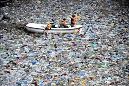 Mất ít nhất 500 năm để xử lý rác thải trên biển