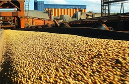 Châu Á tăng tiêu thụ các sản phẩm nông nghiệp và chăn nuôi của Brazil