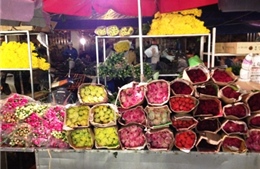 Vườn hoa, chợ hoa Hà Nội tràn ngập không khí Tết