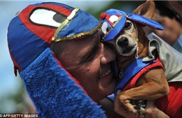 Hấp dẫn lễ hội hóa trang dành cho cún cưng tại Brazil