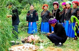 Lễ cúng thần rừng của dân tộc Pu Péo trở thành di sản