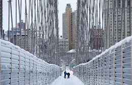Bão tuyết lại hoành hành đông bắc nước Mỹ