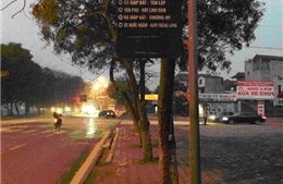 Phút hiếm hoi khách đi xe buýt là “thượng đế”