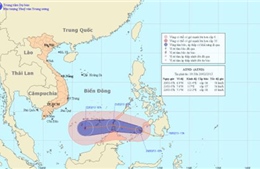 Áp thấp nhiệt đới có thể mạnh lên thành bão 