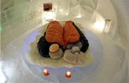 Những khách sạn độc đáo nhất