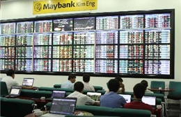 TTCK bình ổn trở lại sau tin đồn thất thiệt