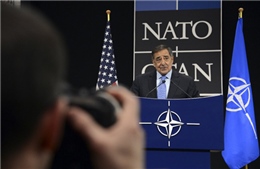 Hội nghị NATO: Đồng thuận để đấy?